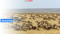 Maasai Mara