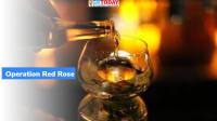 Operation Red Rose