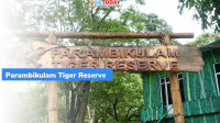 Parambikulam Tiger Conservation Foundation wins Earth Guardian Award