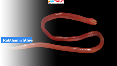New species of blind freshwater eel discovered in Mumbai