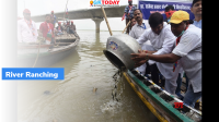 Nationwide River Ranching Programme launched in Uttar Pradesh
