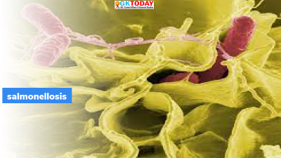 Salmonellosis