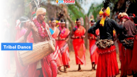 Chhattisgarh: National Tribal Dance Festival to be held