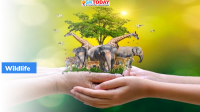 World Wildlife Day 2023