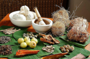 आयुर्वेद पर्व-2021 (Ayurveda Parv-2021) का उद्घाटन किया गया : मुख्य बिंदु