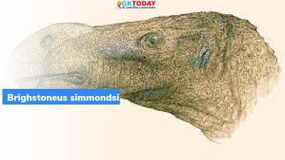 Brighstoneus simmondsi