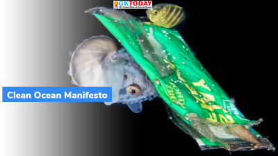 Clean Ocean Manifesto