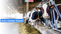 Dairy Sahakar Scheme