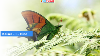 Kaiser – i – Hind