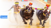 Kambala