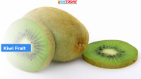 Arunachal Pradesh: India’s 1st Certified Organic Fruit Kiwi Launched