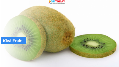 Arunachal Pradesh: India’s 1st Certified Organic Fruit Kiwi Launched