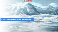 Late Ordovician mass extinction