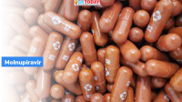 Molnupiravir