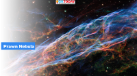Hubble Telescope Observes Prawn Nebula