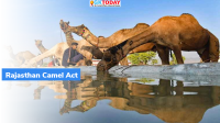 Rajasthan Camel Act