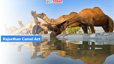 Rajasthan Camel Act