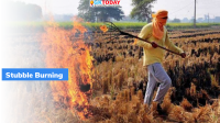 Recent data from ICRI on Stubble Burning Incidents