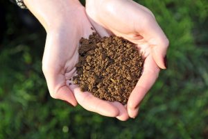 5 दिसंबर : विश्व मृदा दिवस (World Soil Day)
