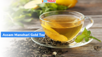 Assam’s Manohari Gold Tea auctioned for Rs 1 lakh/kg
