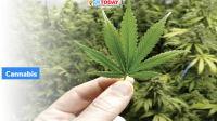 UN World Drug Report 2022