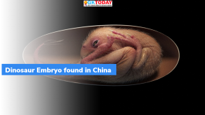 चीन में मिला 6.6 करोड़ साल पुराना डायनासोर का भ्रूण (dinosaur embryo)