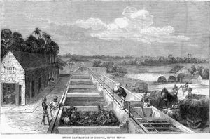 नागपुर के अनाज दंगे, 1869