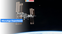 What is “MicroAge” Experiment?