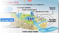 What is a ‘Sponge city’ in Water Management?