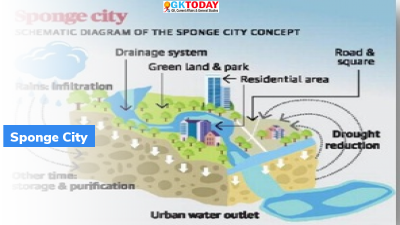 What is a ‘Sponge city’ in Water Management?