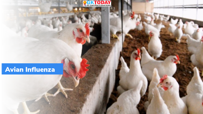 India Achieves Self-Declaration of Freedom from Avian Influenza for Poultry Compartments
