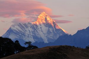 नंदा देवी अभयारण्य