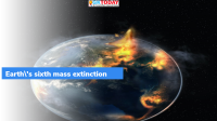 Earth’s sixth mass extinction