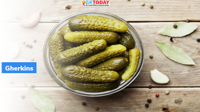 India: Largest exporter of Cucumber and Gherkins