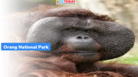 Expansion of Orang National Park