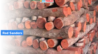 IUCN assessment on Red Sanders
