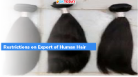 India: Restrictions on Export of Human Hair