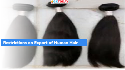 India: Restrictions on Export of Human Hair