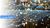 Discovery of New Strange Metal
