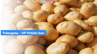 Telangana – UP Potato Ban