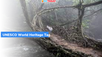 Meghalaya Living Root Bridges