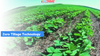 Zero Tillage Technology