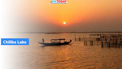 Chilika Lake Annual survey