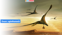 Dearc sgiathanach: New Species of Pterosaur