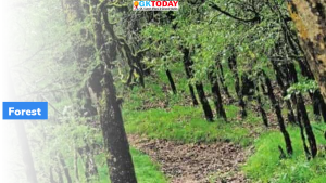 वन क्षेत्र (Forest Area) बढ़ाने में भारत विश्व में तीसरे स्थान पर है : आर्थिक सर्वेक्षण