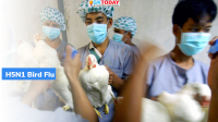 H5N1 bird flu Outbreak in Patna & Maharashtra