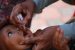 Global Polio Eradication Initiative (GPEI)