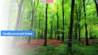 New Study on Tree Species