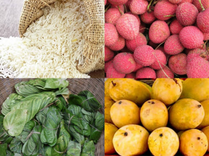 Export of Regional, and GI Agri Products
