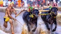 Mangaluru Kambala